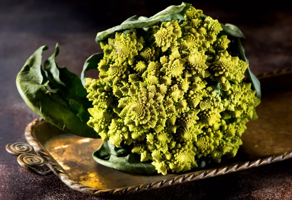 Romanská brokolice (Foto: https://elements.envato.com/)