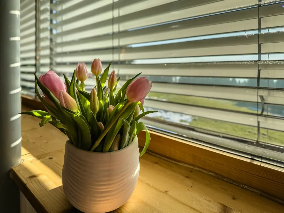 Venkovní žaluzie: Je třeba počítat s vyšší pořizovací cenou (Foto: Unsplash)
