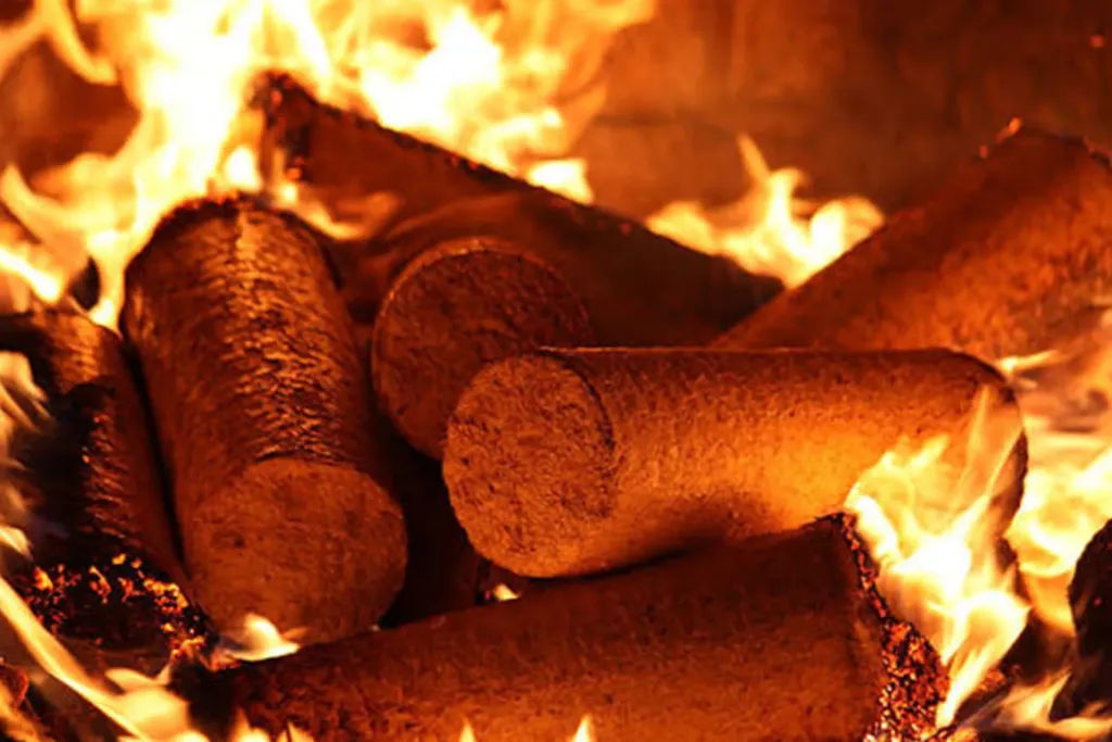 Co ovlivňuje cenu vytápění dřevěnými peletami? (Foto: Shutterstock)