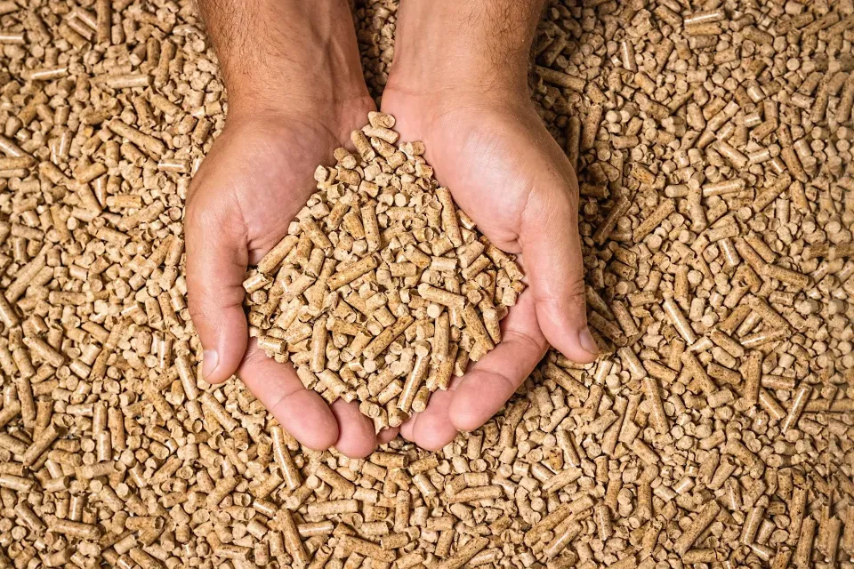 Mohou dřevěné brikety pomoci snížit náklady na topení? (Foto: Shutterstock)
