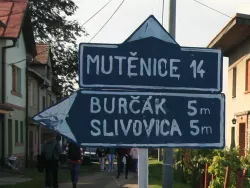 Burčákový pochod z Milotic do Mutěnic