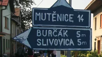 Burčákový pochod z Milotic do Mutěnic