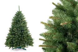 Jak vybrat vánoční stromeček