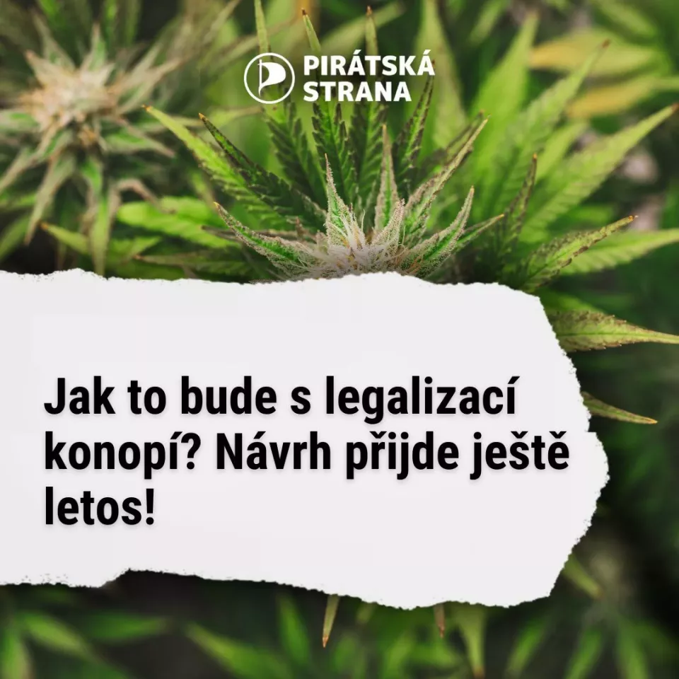 Legalizace konopí v ČR - Pirátská strana (Foto: Novinky)