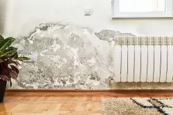 6 tipů, jak se zbavit plísně v bytě či domě