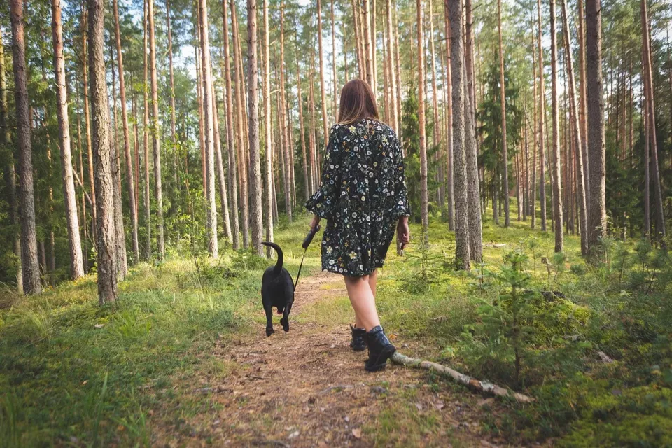 Chůze v lese (Foto: Pixabay)