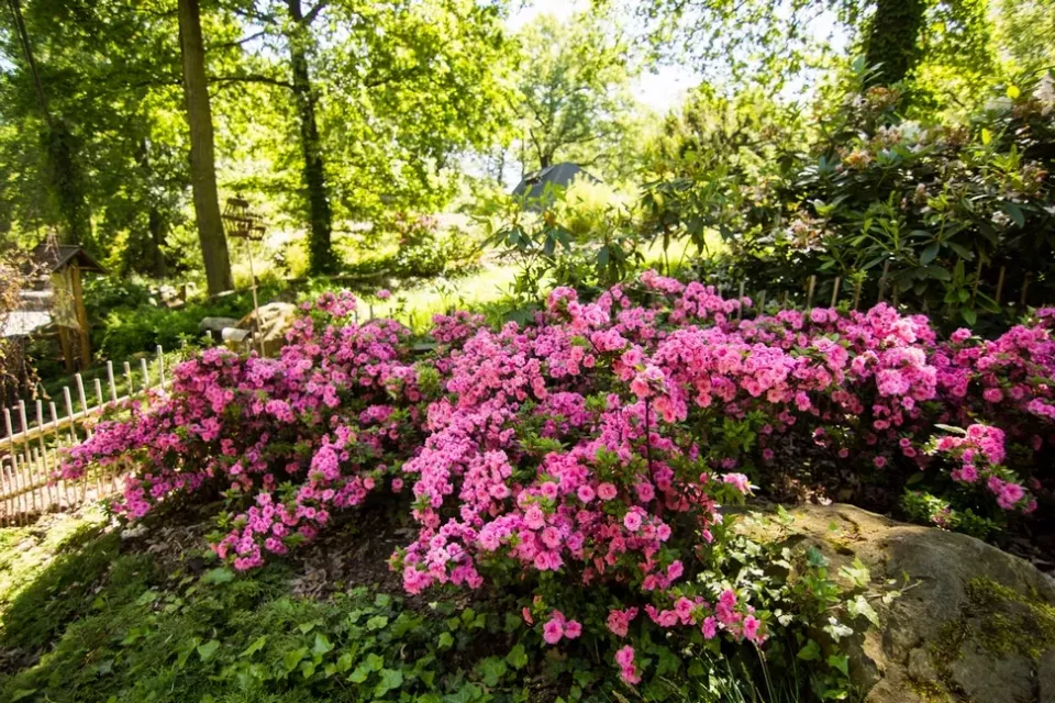  (Foto: Zoo-ostrava.cz)