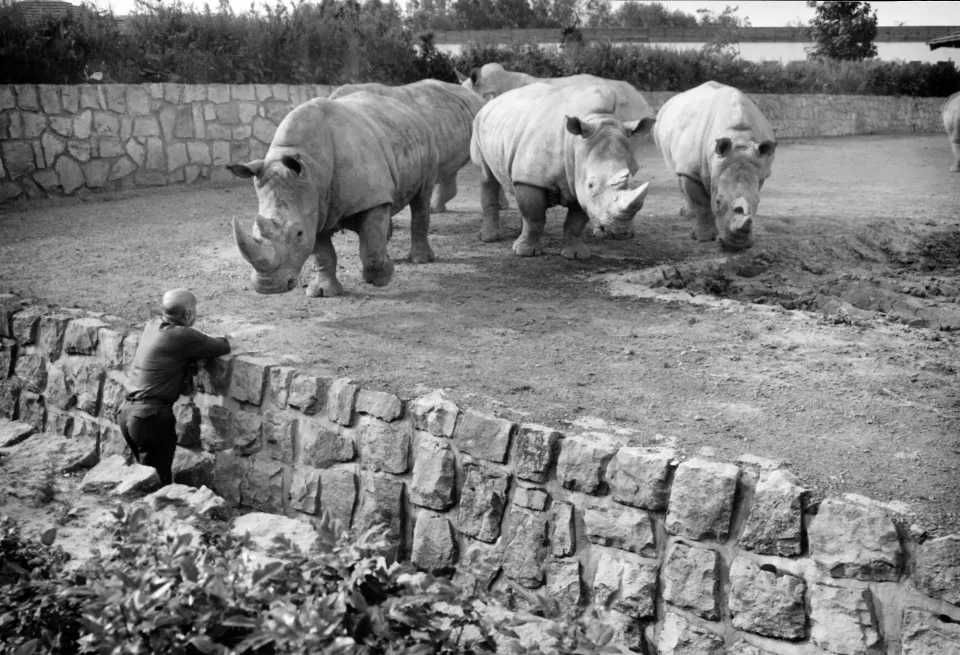  (Foto: Safaripark.cz)