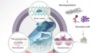 Rozklad plastů mikroby: Udržitelný přístup