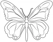 Motýl (Foto: Supercoloring.com)