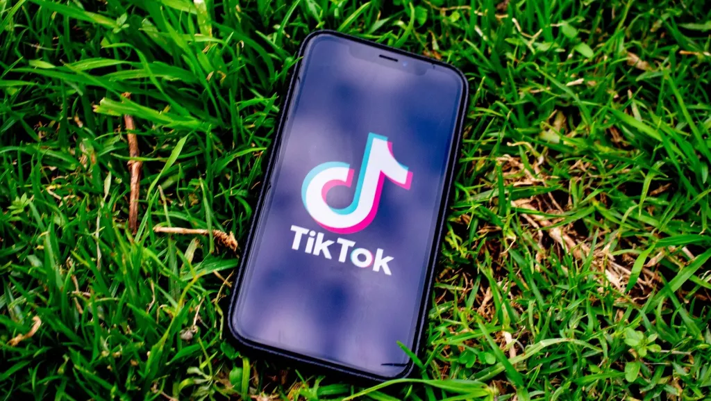 Sociální síť TikTok (Foto: Pixabay)