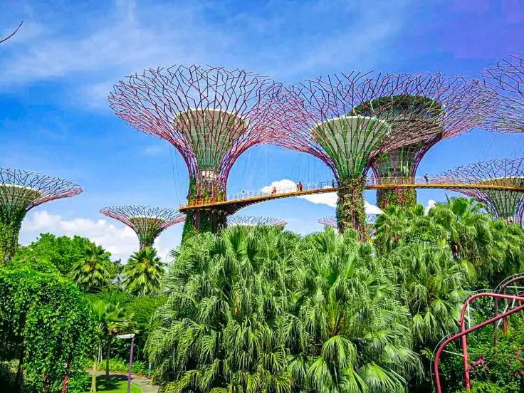 Singapur: Letiště v Singapuru patří k nejmodernějším na světě. (Foto: Unsplash)