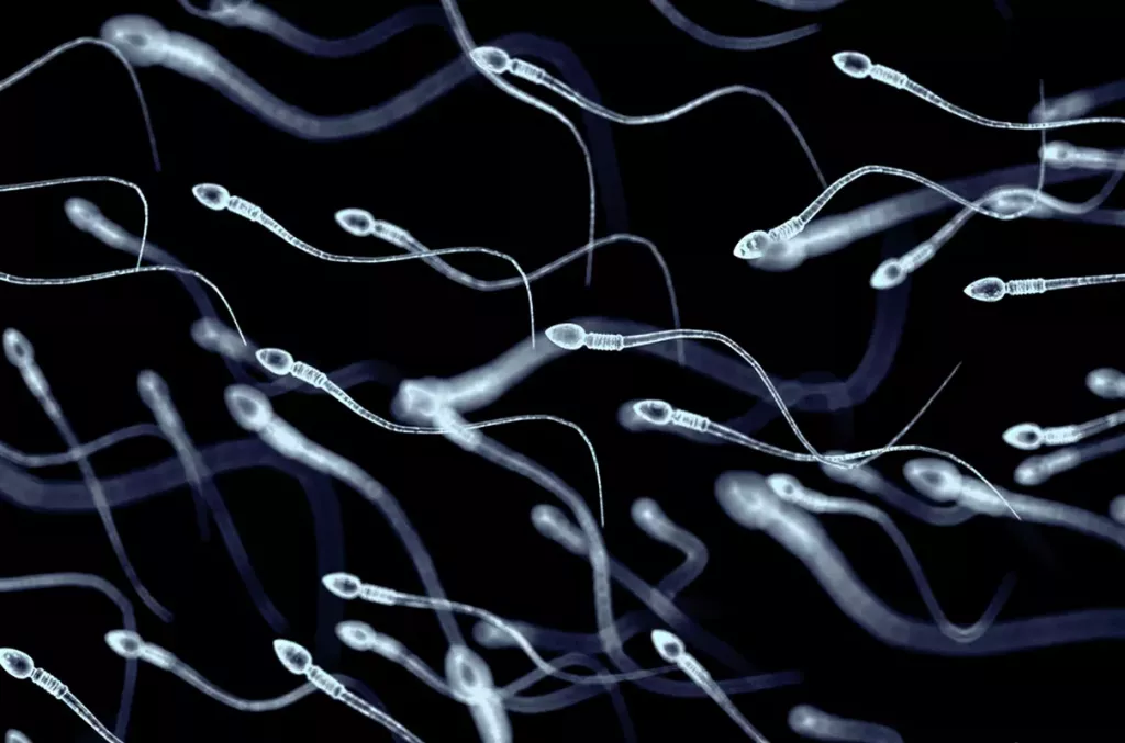 Spermiogram pomůže zjistit kvalitu spermií (Foto: GettyImages)