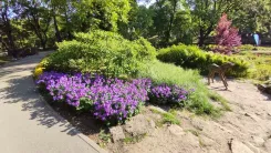 Riga, Lotyšsko: Bastejkalna Park v blízkém okolí Pomníku svobody v Rize (Foto: Top.cz)