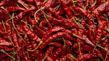 Pikantní svět chilli papriček: Seznamte se s nejznámějšími druhy. Která je nejpálivější?