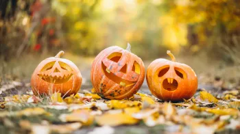 Tipy, jak originálně vydlabat halloweenskou dýni