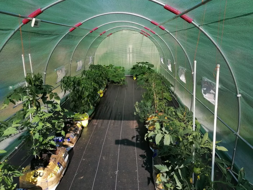 Máte na zahradě fóliový skleník? (Foto: se svolením Gardenway)