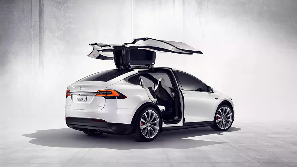 Tesla Model X (Foto: Elonx)